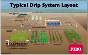 typical garden drip irrigation system layout