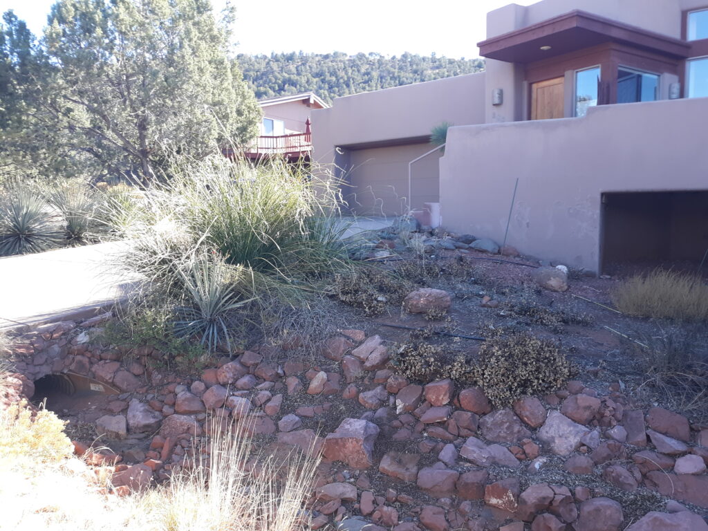 front yard after landscaper pruning