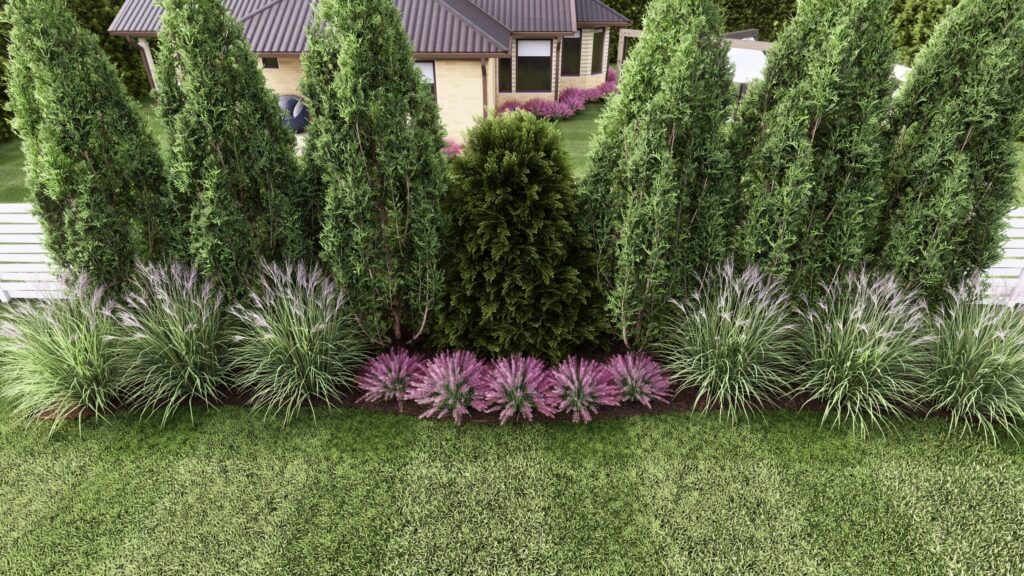 Living fence as a privacy solution
